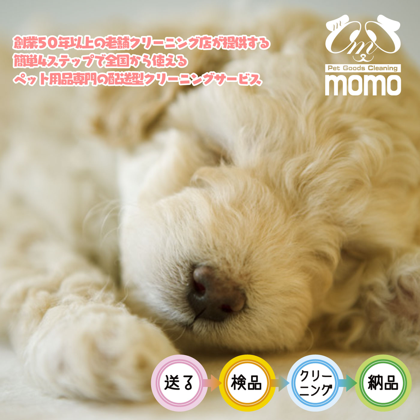 ペット用品クリーニングmomo